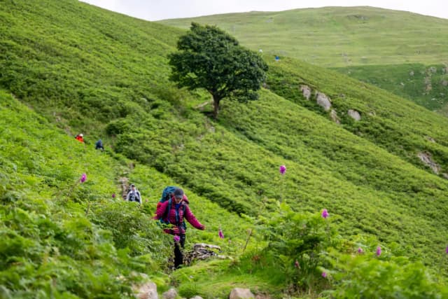 HIGHLANDER hiking